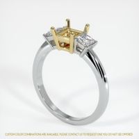 14K Yellow & White Three Stone Ring Setting Video