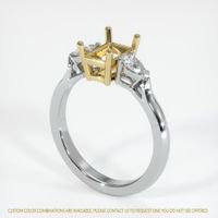 14K Yellow & White Three Stone Ring Setting Video