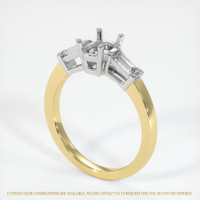 14K White & Yellow Three Stone Ring Setting Video