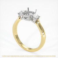 14K White & Yellow Three Stone Ring Setting Video