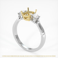 18K Yellow & White Three Stone Ring Setting Video