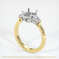 14K White & Yellow Three Stone Ring Setting Video