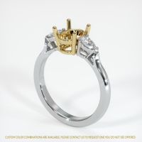 14K Yellow & White Three Stone Ring Setting Video