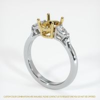 18K Yellow & White Three Stone Ring Setting Video