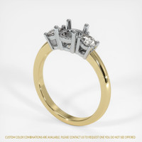 14K White & Yellow Three Stone Ring Setting Video