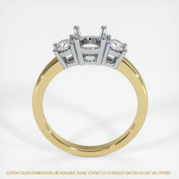18K White & Yellow Three Stone Ring Setting Image