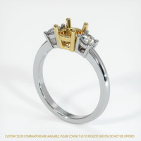 18K Yellow & White Three Stone Ring Setting Video