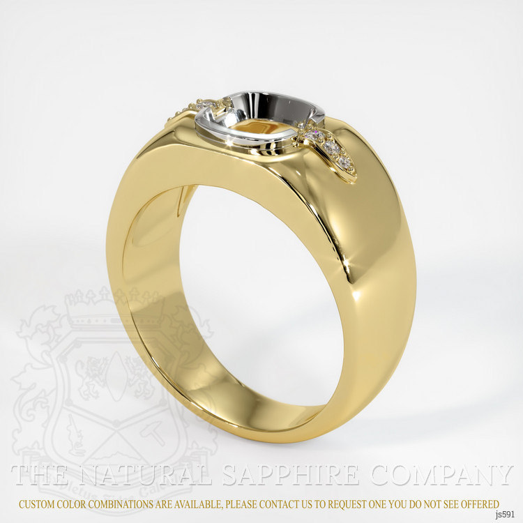 14K White & Yellow Men's Ring Setting