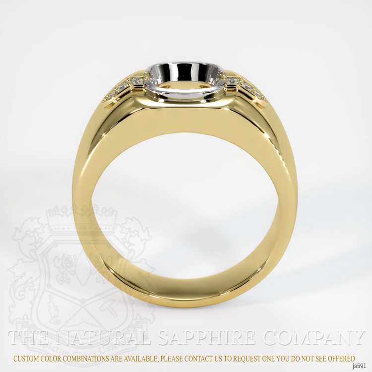 14K White & Yellow Men's Ring Setting