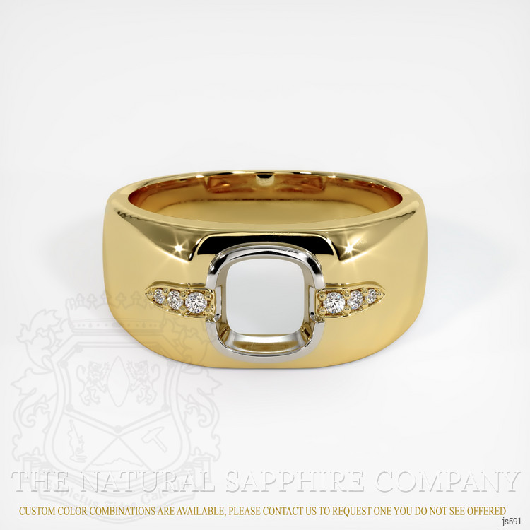 18K White & Yellow Men's Ring Setting