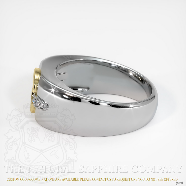 14K Yellow & White Men's Ring Setting