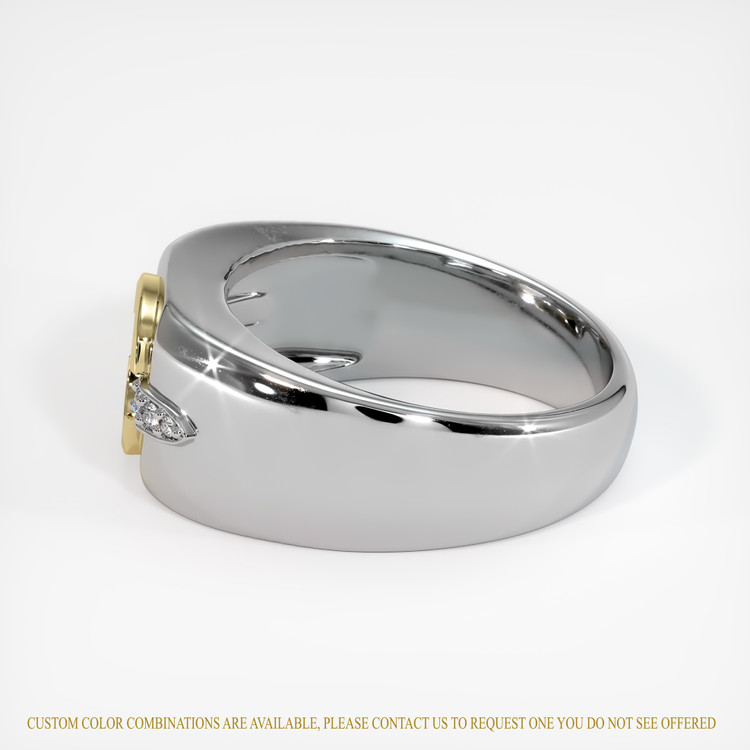 14K Yellow & White Men's Ring Setting