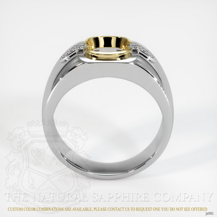 14K Yellow & White Men's Ring Setting