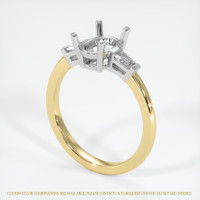 14K White & Yellow Three Stone Ring Setting Video