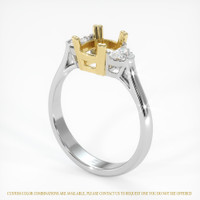 14K Yellow & White Three Stone Ring Setting Video
