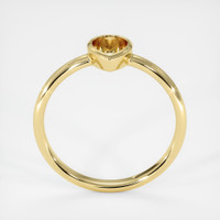 14K Yellow Gold Vedic Ring Setting Image