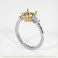 14K Yellow & White Three Stone Ring Setting Video