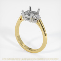14K White & Yellow Three Stone Ring Setting Video