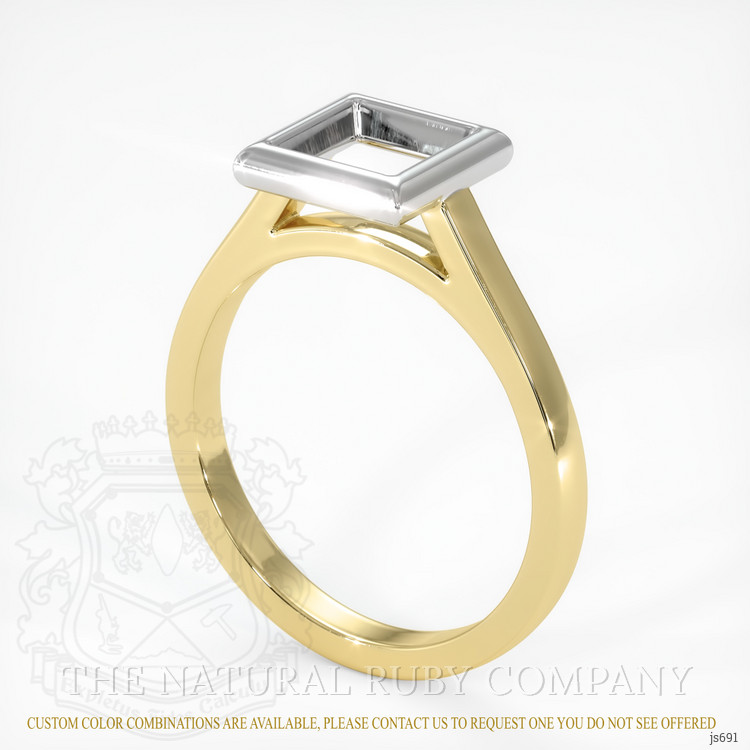 18K White & Yellow Bezel Ring Setting