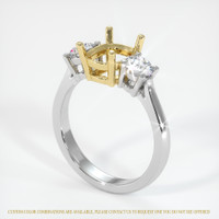 18K Yellow & White Three Stone Ring Setting Video