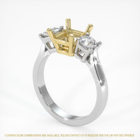14K Yellow & White Three Stone Ring Setting Video