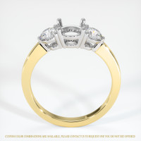 14K White & Yellow Three Stone Ring Setting Image