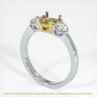 18K Yellow & White Three Stone Ring Setting Video