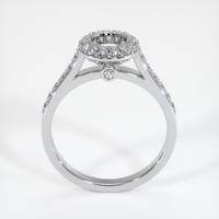 10K White Gold Pave Ring Setting Image