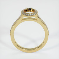 10K Yellow Gold Pave Ring Setting Image