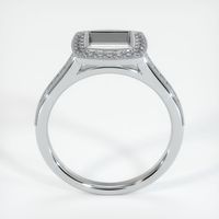 14K White Gold Pave Ring Setting Image