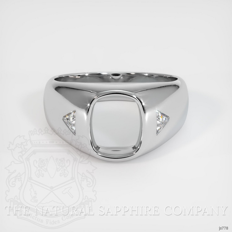 10K White Gold Men's Ring Setting