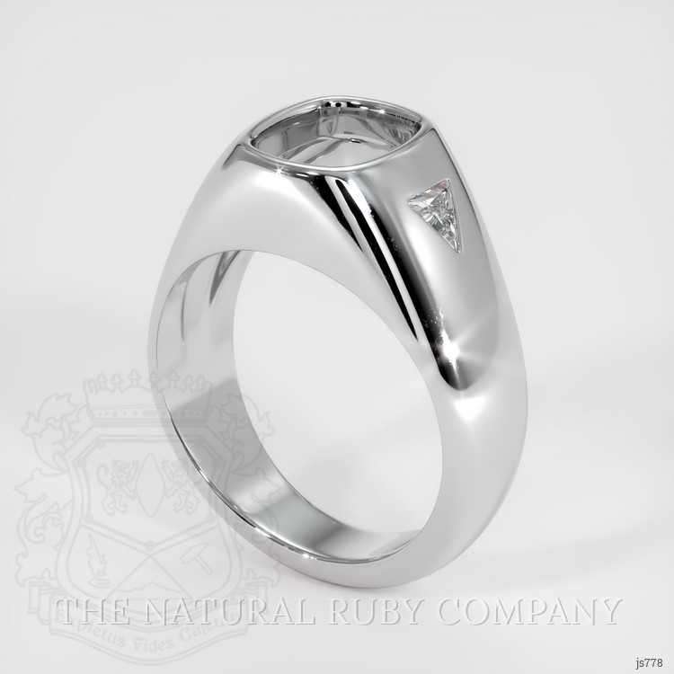 14K White Gold Men's Ring Setting