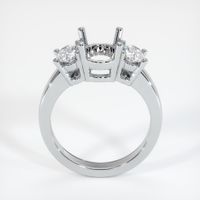 14K White Gold Three Stone Ring Setting Image