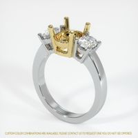 18K Yellow & White Three Stone Ring Setting Video