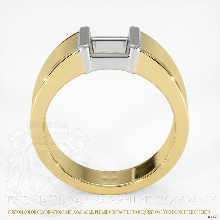 14K White & Yellow Men's Ring Setting