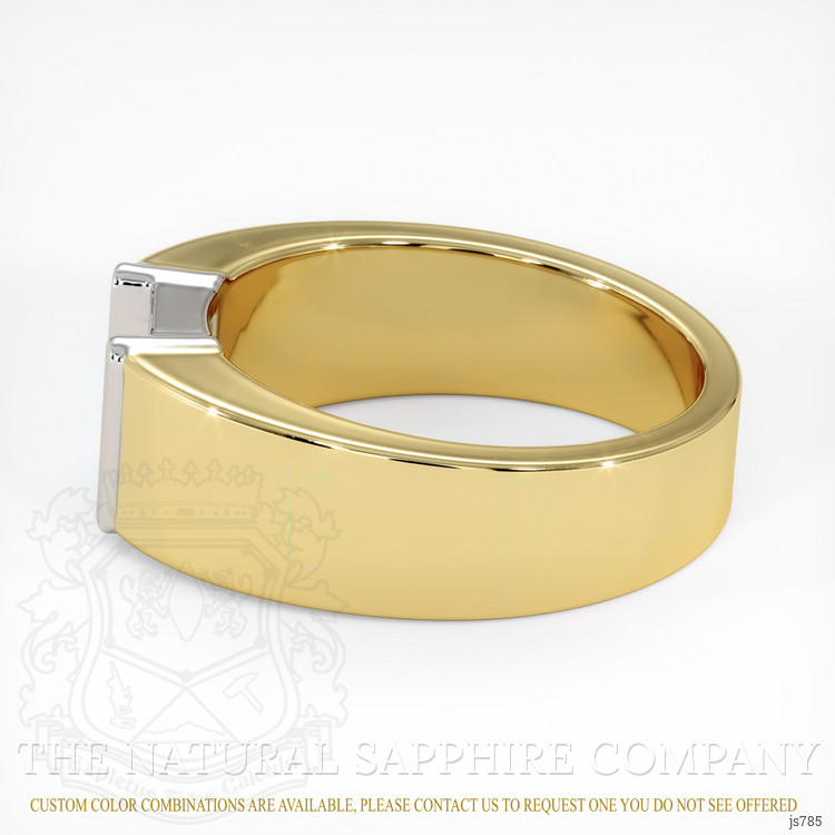 18K White & Yellow Men's Ring Setting