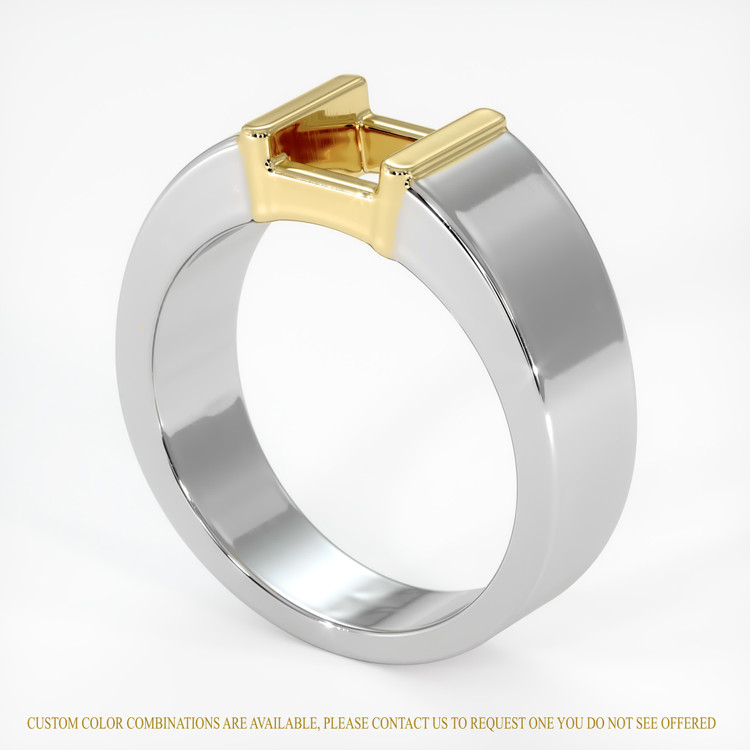 14K Yellow & White Men's Ring Setting