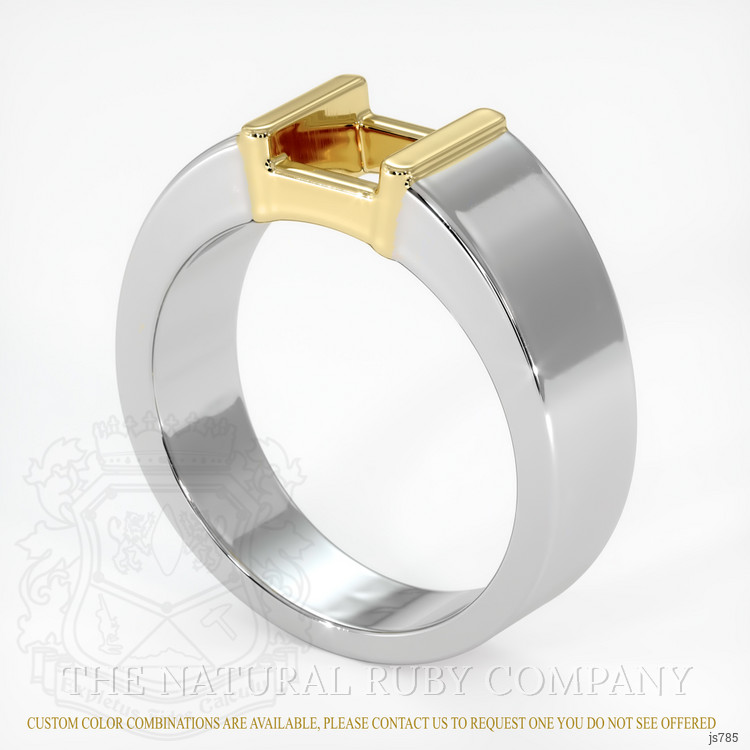 14K Yellow & White Men's Ring Setting
