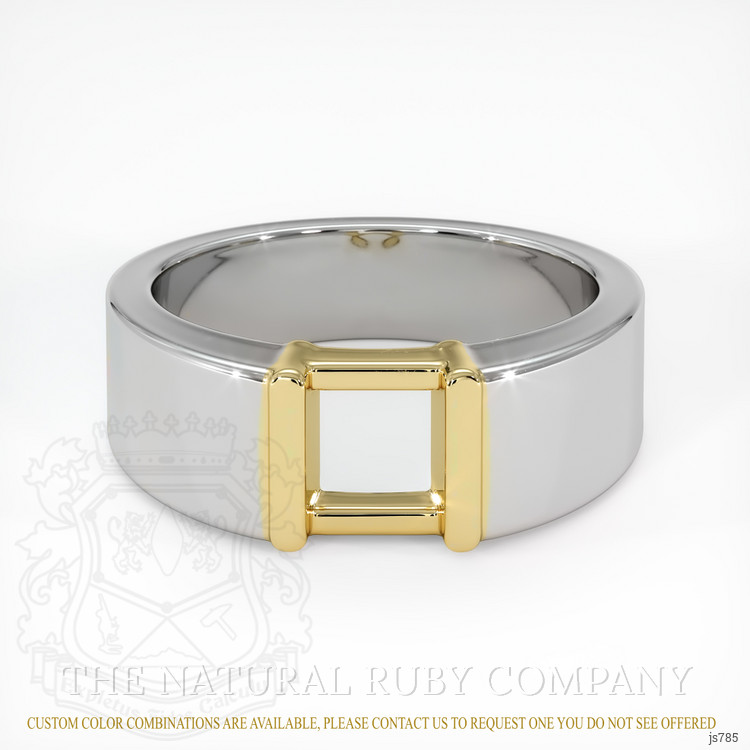 14K Yellow & White Men's Ring Setting