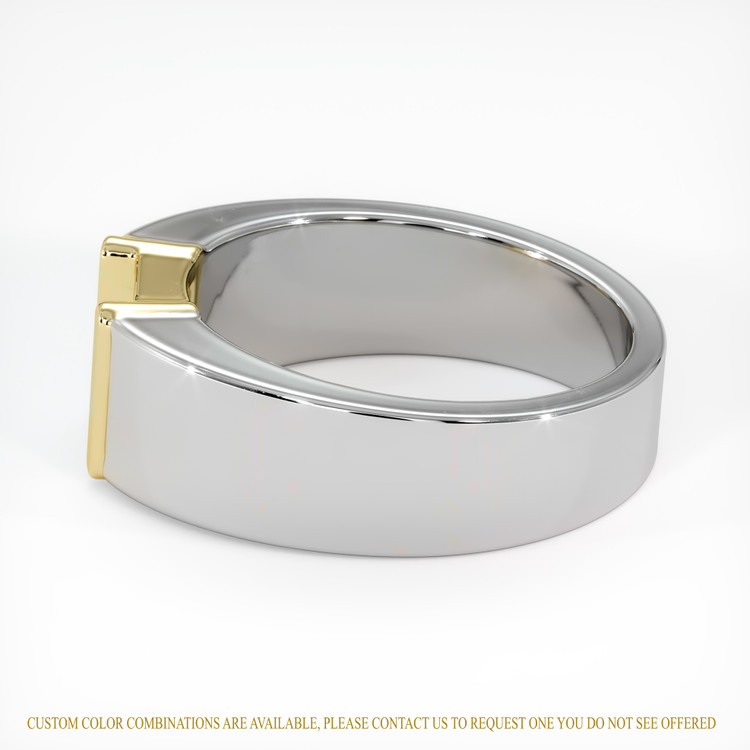 14K Yellow & White Men's Ring Setting