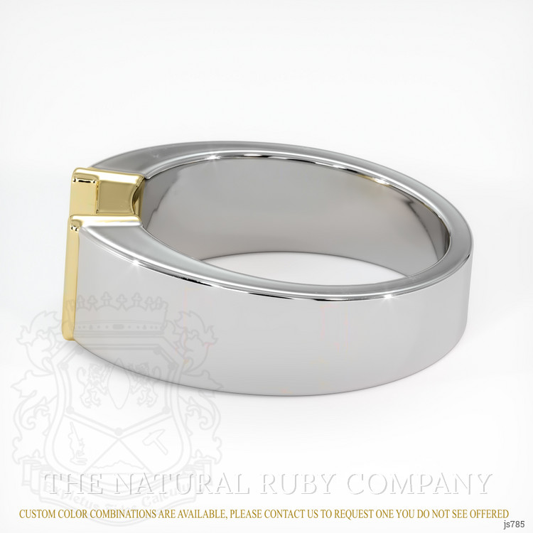 14K Yellow & White Men's Ring Setting