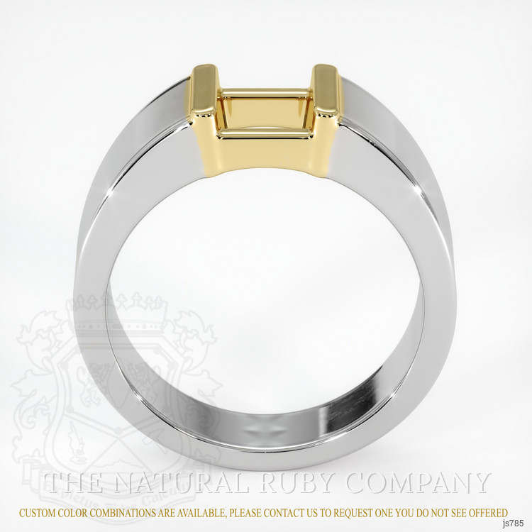 14K Yellow & White Men's Ring Setting