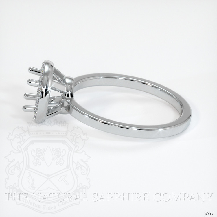 10K White Gold Pave Ring Setting