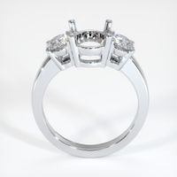 14K White Gold Three Stone Ring Setting Image
