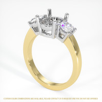 14K White & Yellow Three Stone Ring Setting Video