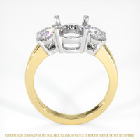 14K White & Yellow Three Stone Ring Setting Image