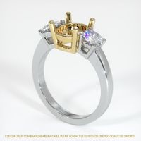 14K Yellow & White Three Stone Ring Setting Video
