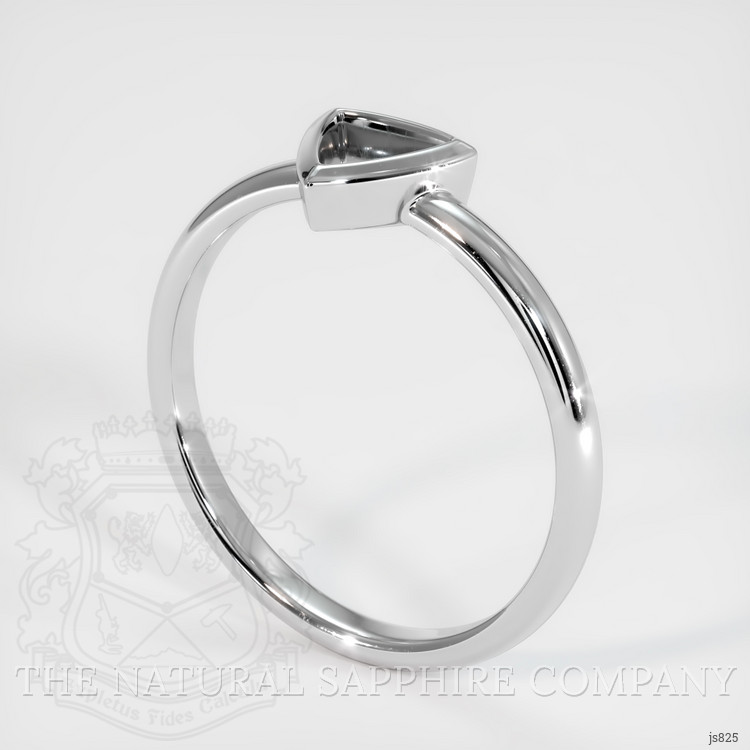 18K White Gold Men's Ring Setting