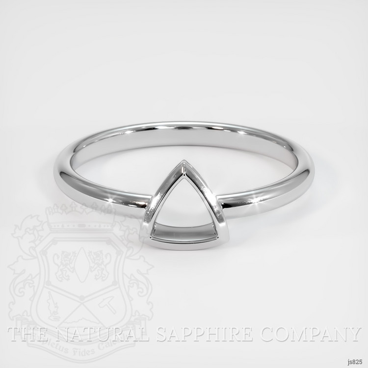 18K White Gold Men's Ring Setting
