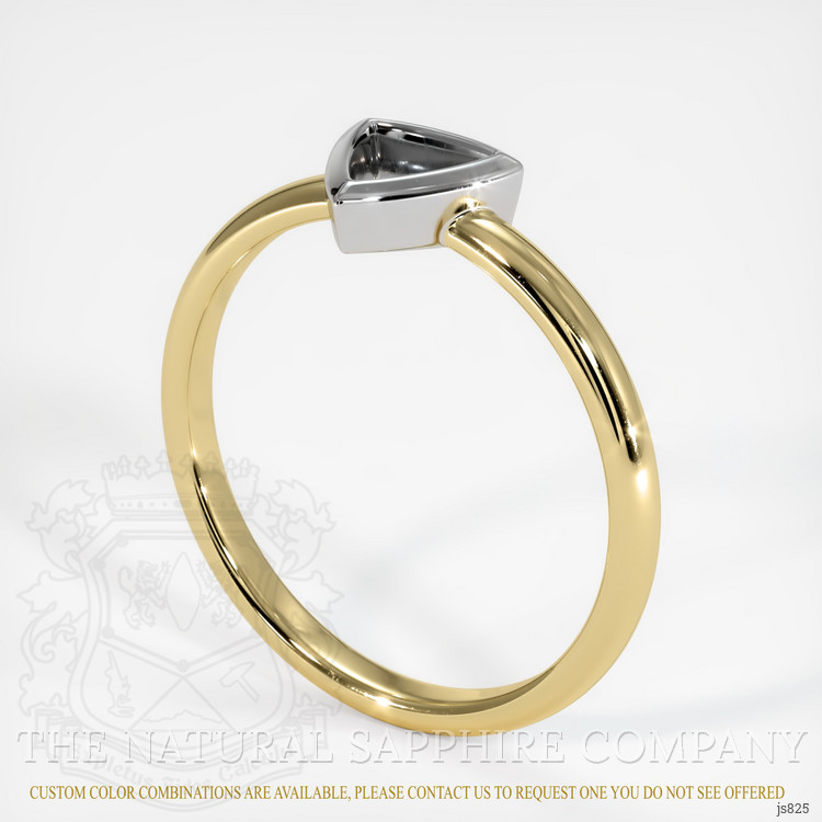 14K White & Yellow Men's Ring Setting